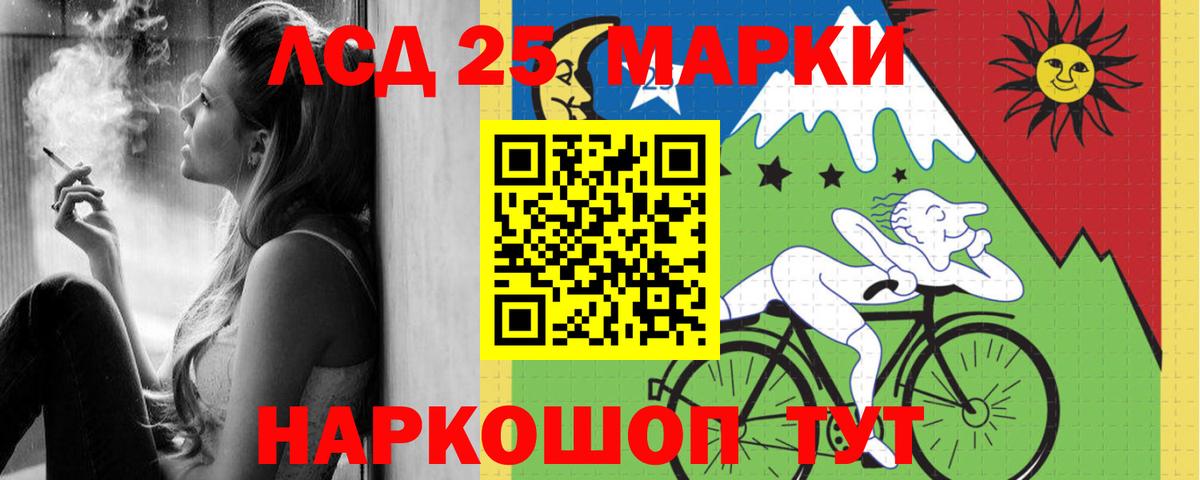 Бошки Шишки Северск