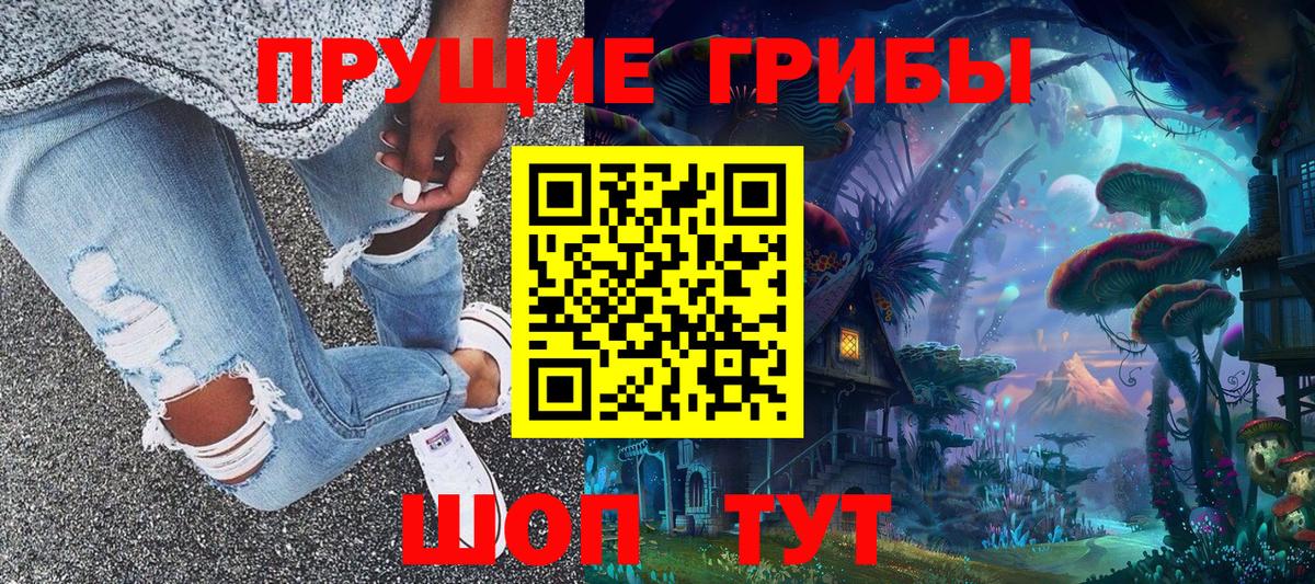 Северск  Псилоцибиновые грибы Psilocybe  купить наркоту  Вход с VPN 